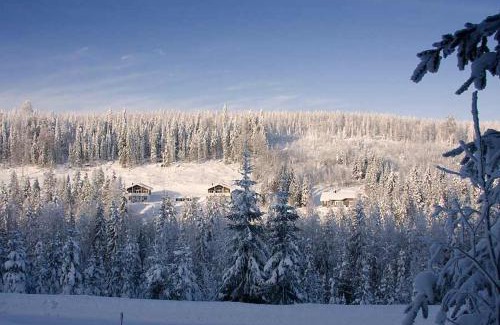 Nilsia Ski Chalet | Karkutahko Villas