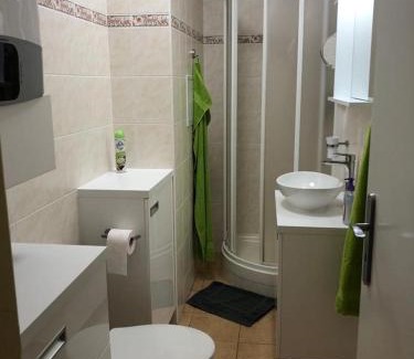 Mala Moravka Apartment | Karlov pod Pradědem Apartmány Orbit