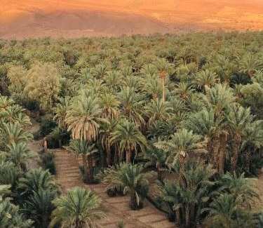 Oulad Yahia Lagraire Hotel | Kasbah Hnini