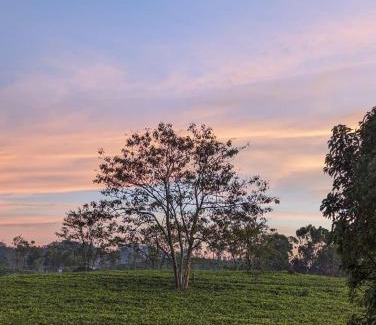 Hali-Ela House | Katugaha Homestay