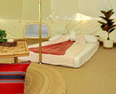 Lobo Other | KAWAI Beach Camp