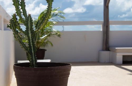 Isla Mujeres Apartment | Kay Apartments Isla Mujeres
