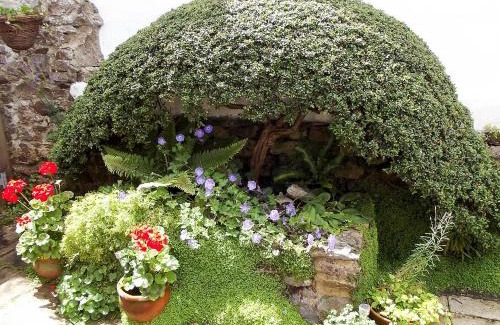 Buckfastleigh House | Kay's Cottage