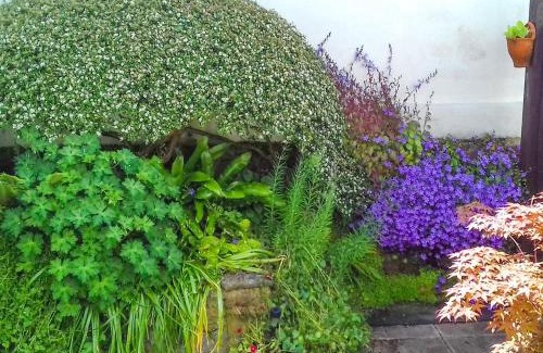 Buckfastleigh House | Kay's Cottage
