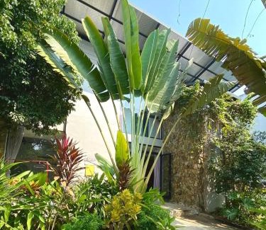Ba Vi Apartment | Kayla Homestay - Villa Long An