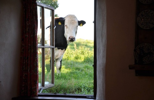 Ardmore Cottage | Keanes' Cottage (A Special Holiday Rental)