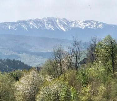 Zawoja Ski Chalet | Kefasówka