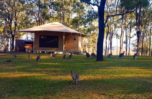 Scenic Rim Regional Cabin | Ketchup's Bank Glamping
