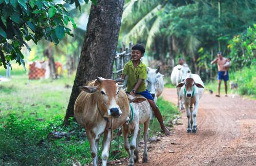 Sout Nikom House | Khmer Homestead