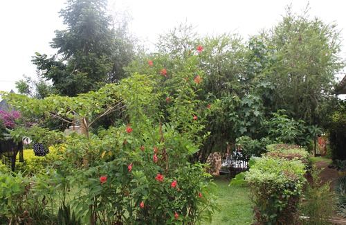 Kibale Bed & Breakfast | Kibale Eco Home