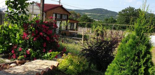 Tbilisi Ski Chalet | Kiketi Paradise