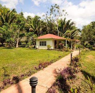 Franks Eddy Hotel | KikiWitz Resort