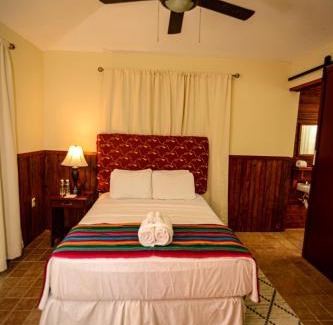 Franks Eddy Hotel | KikiWitz Resort