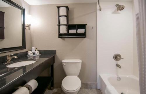 Jackson Apartment | King Bed Hotel Room 119