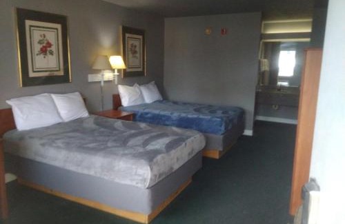 Livingston Apartment | King Bed Hotel Studio 102