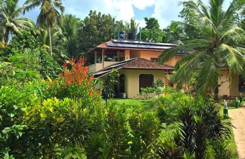 Habaraduwa Hotel | King Coconut Lodge