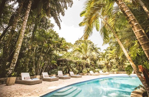 Forest Home Apartment | King Jungle Suite overlooking the jungle and surrounded by the nature