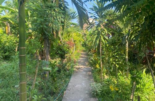 Don Det House | King Kong Restaurant and Bungalows