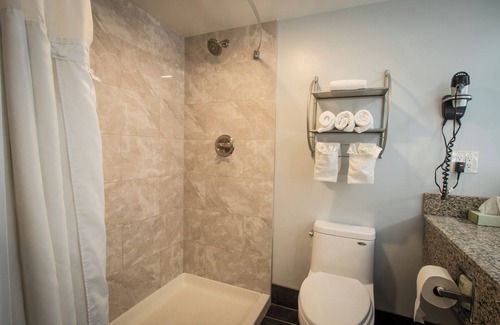 Henderson Hotel | King Smoking Pet-Friendly