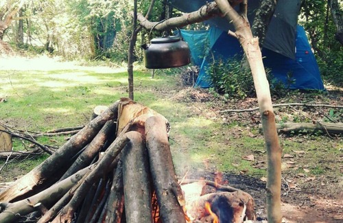 Cinarcik RV Rental | Kirkahvesi Garden - Campsite