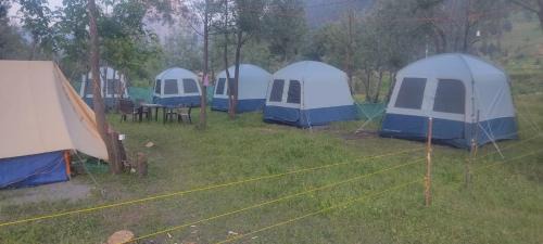 Gulmarg Other | Kishangangaviewcampingsite