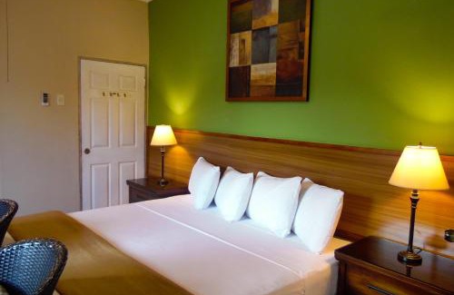 Port of Spain House | Kiskadee Korner