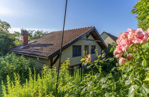 Eger Apartment | Kismókus Apartman