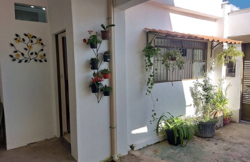 Visconde do Rio Branco Apartment | Kitnets no Bairro Rio Branco