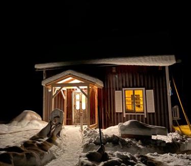 Viksjo House | Kleines Haus in Schweden