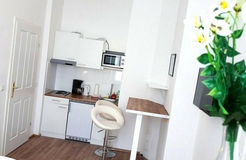 Roßau Apartment | Klimatisiertes Apartment nahe Ring