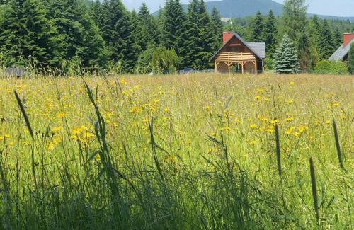 Klimkowka Cabin | Klimkowskie Zacisze - domek całoroczny