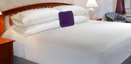 Midland Hotel | Knights Inn - Park Villa Motel, Midland