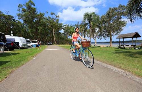Lemon Tree Passage Resort | Koala Shores Holiday Park