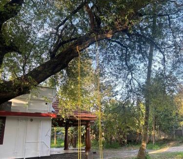 Kakkanad House | Kochuthottathil Heritage