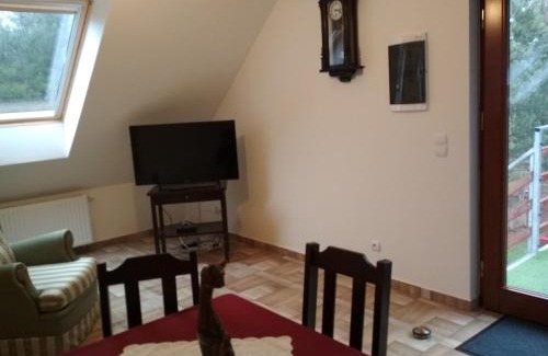 Wielen House | Koci Grzbiet Agroturystyka