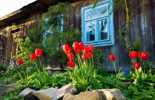 gmina Wietrzychowice House | Kogutowo Agroturystyka MPR