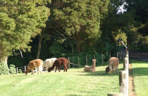 Parua Bay House | Kohinui Glade Holiday Cottage