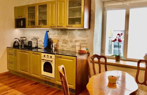 Kuressaare Apartment | Kohtu Apartment Cozy