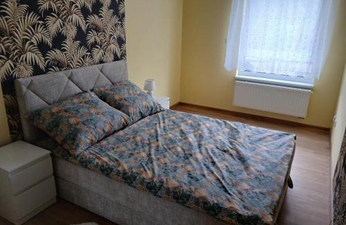 Olesnica Apartment | Kolejowa City