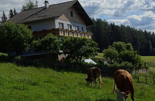 Oberwolz Apartment | Komfortzimmer mit Balkon - Fewo Würger