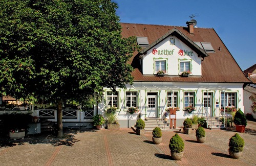 Breisach Apartment | Komfort Doppelzimmer mit Dusche/WC