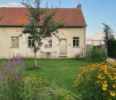 Ellezelles House | Kompas gîte