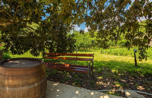Popovici House | Konavle Apartments - Zlatovisce