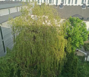 Kristiansand Apartment | Kongensgate, koselig liten leilighet, 5 min unna sentrum
