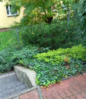 Sosnowiec Apartment | Kora