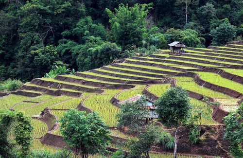 Mae Chaem House | KowitFarmstay