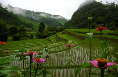 Mae Chaem House | KowitFarmstay