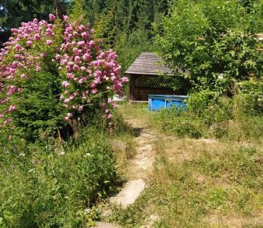 Tatariv House | Krutogora