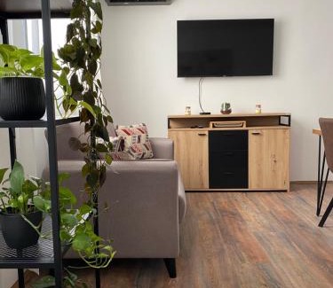 Vardarac Apartment | Kuća za odmor Erdelji