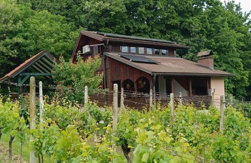 Kutina House | Kuća za odmor Laura